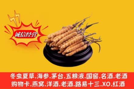 晋中市昔阳求购回收虫草多少钱每克